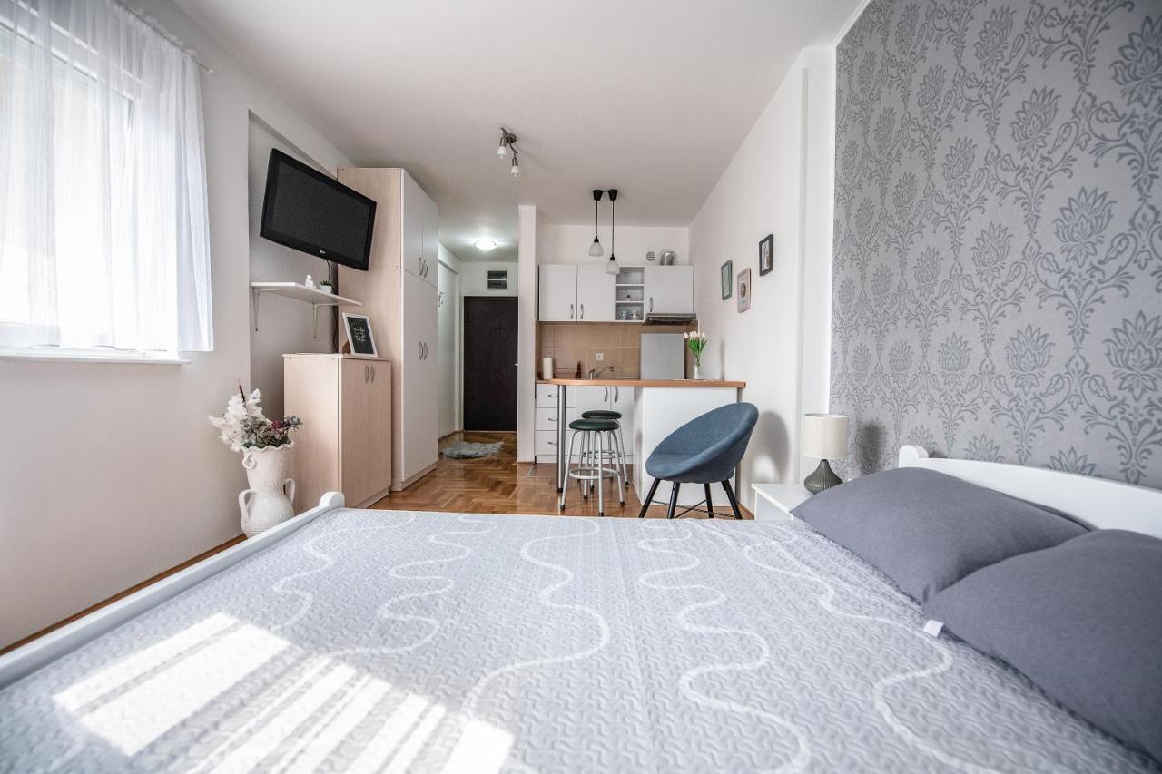 Stella Modern Apartment 2 نوفي ساد المظهر الخارجي الصورة